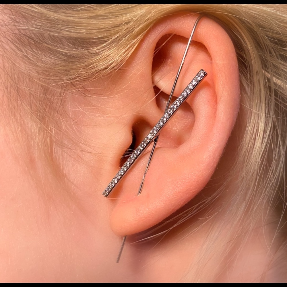 NWT Cawler Earrings Rhinestone  Hook Earring